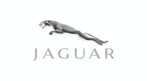Jaguar Fitment