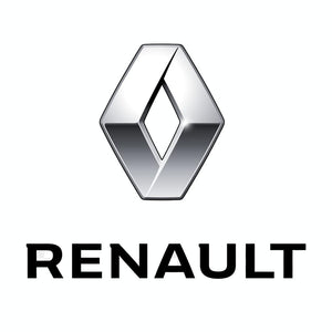 Renault Fitment